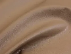 Maestro (silk)
