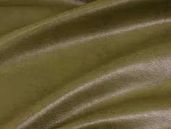 Pegas (oliva)