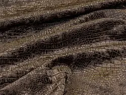 Reptile (mushroom)